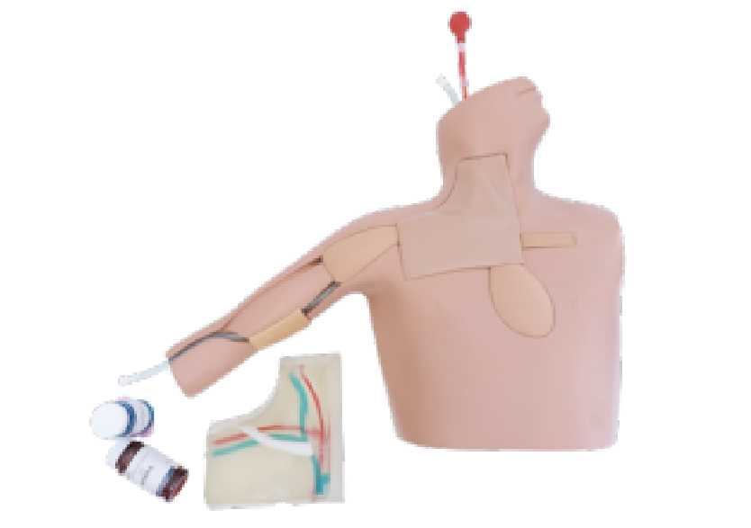 中心静脉置管术训练平台 2.0